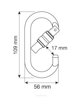 Karabinek CAMP Oval Pro Lock - 3