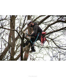 Uprząż arborystyczna ROCK EMPIRE Skill Tree - 4